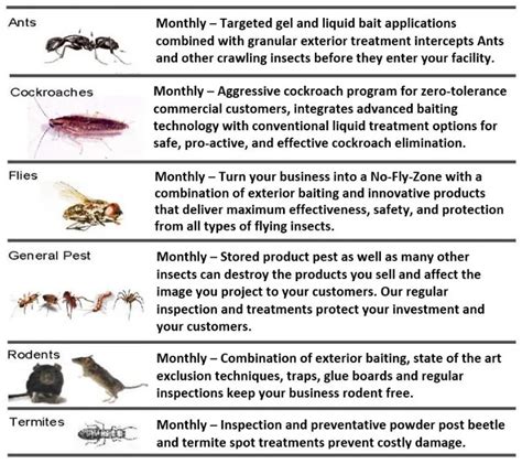 Hotel And Resort Pest Management Quest Environmental Services Pest