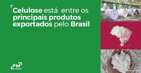 Celulose está entre os principais produtos exportados pelo Brasil