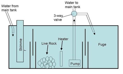 Saltwater Aquarium Setup, Aquarium Sump, Diy Aquarium, Glass Aquarium ...