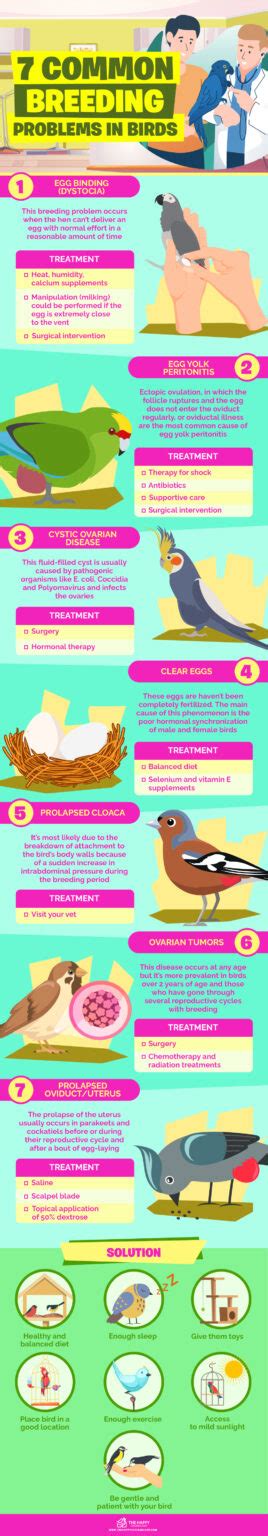 7 Common Breeding Problems in Birds