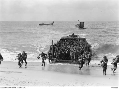 TRINITY BEACH AREA QUEENSLAND 1944 09 06 TROOPS OF C AND D COMPANY