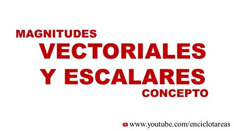 Magnitudes Vectoriales Y Escalares Concepto Youtube