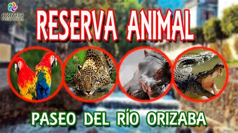 PASEO DEL RÍO Y RESERVA ANIMAL ORIZABA VERACRUZ TURISMO IN