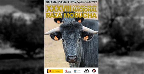 XXXVIII Concurso Nacional De Raza Morucha En Salamanca Del 2 Al 7 De