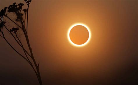 Saiba Tudo Sobre O Eclipse Solar De Hoje