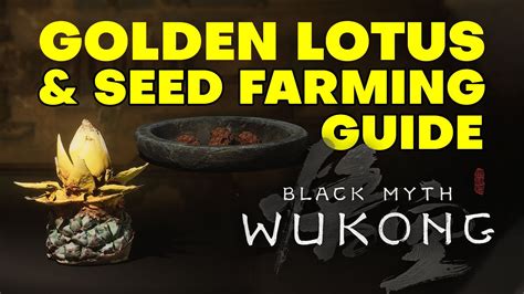 Golden Lotus And Seed Farming Guide Black Myth Wukong YouTube