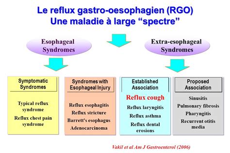 Reflux Gastro Oesophagien Et Toux Chronique De Ladulte Ppt T L Charger