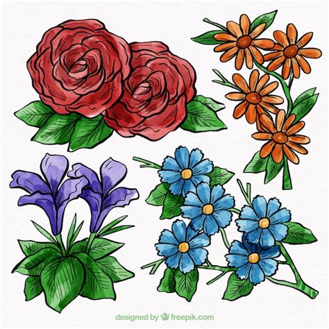 Set De Flores Dibujadas A Mano Vector Gratis