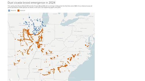 Maps Show Where Trillions Of Cicadas Will Emerge In The U S