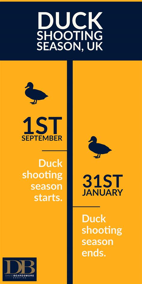 Duck Shooting Season UK | What, When and Why | DB