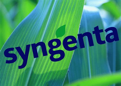 Chemistry Students Year In Industry With Syngenta School Of Physical