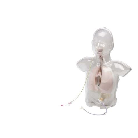 The Hungry Manikin Paediatric Nasogastric Feeding Trainer