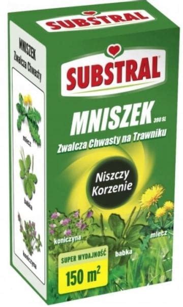 Mniszek Na Chwasty W Trawie Ml Substral Ogrodnik Pl