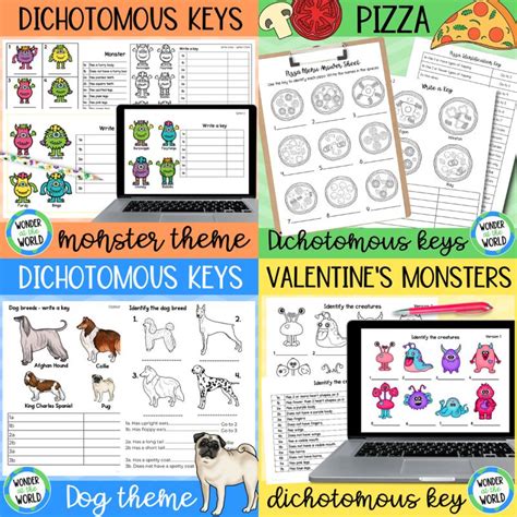 How To Teach Dichotomous Keys Successfully In Science Wonder At