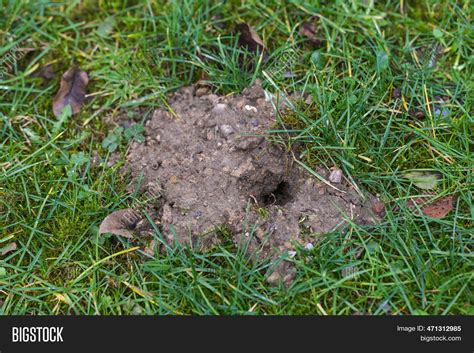 Small Heap Earth Hole Image & Photo (Free Trial) | Bigstock