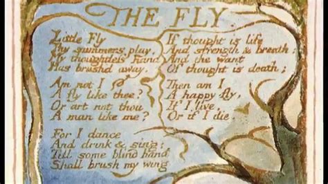 "The Fly", William Blake (British accent) - YouTube