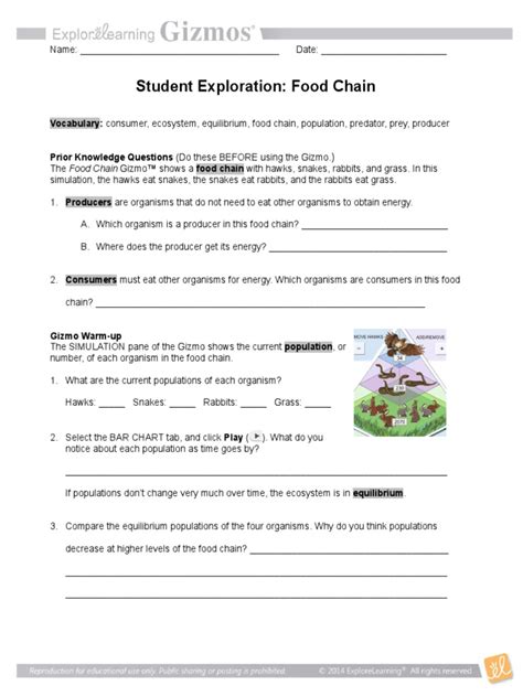 food chain student worksheet and extension | Predation | Earth & Life Sciences