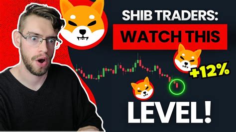 Shiba Inu NEXT BEST ENTRY 12 PROFIT Potential SHIB Price