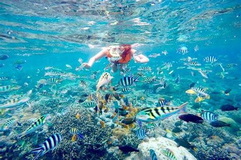 11 Best Beaches In Nusa Lembongan | Trip101