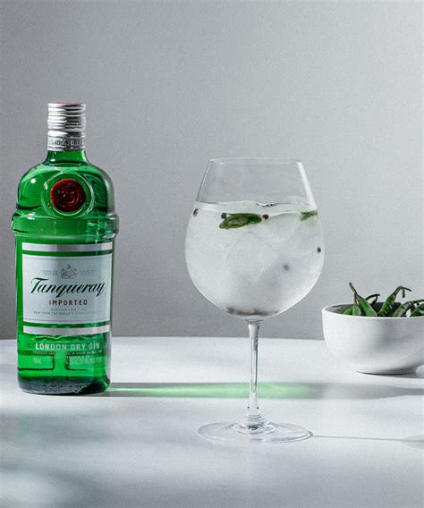 Easy Tanqueray Gin And Tonic Recipe Atonce