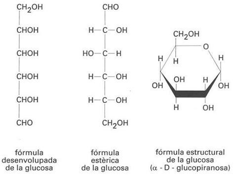 Estructura Quimica De La Glucosa