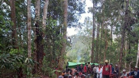 Misteri Warga Kalbar Hilang Di Hutan Perbatasan Indonesia Malaysia