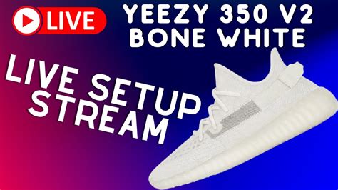 Live Yeezy V Bone Setup Stream Valor Aio Yeezy Supply Live Cop