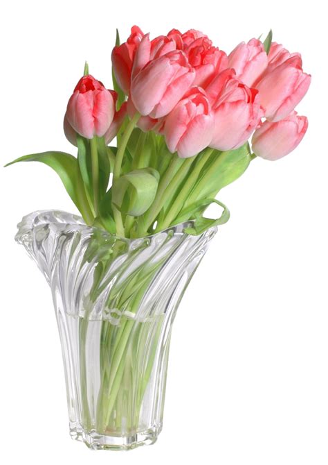 Vase Png Image Purepng Free Transparent Cc0 Png Image Library