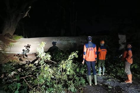 Cuaca Ekstrem Kota Batu Picu Belasan Bencana Sejumlah Orang Terluka