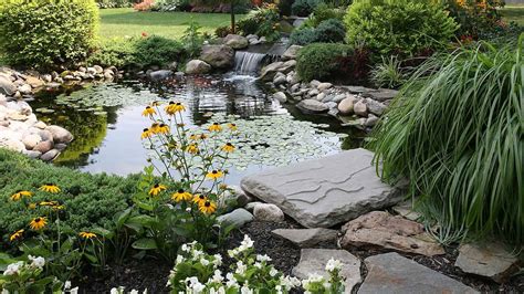 9 Koi Pond Maintenance Tips For A Healthy Pond Angi