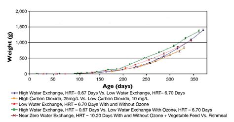 Rainbow Trout Attain Good Growth Health In Tank Based Recirculating