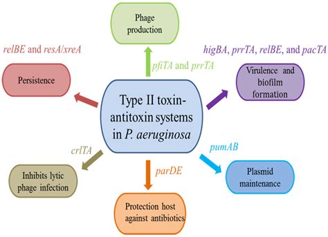 Toxins Free Full Text Type II ToxinAntitoxin Systems In