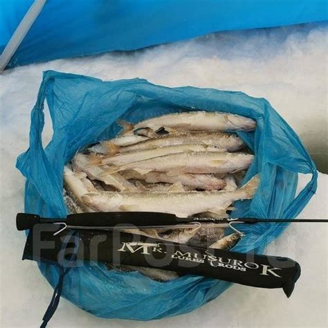 Самодур на корюшку (зубаря), новый, в наличии. Цена: 3 990₽ во Владивостоке