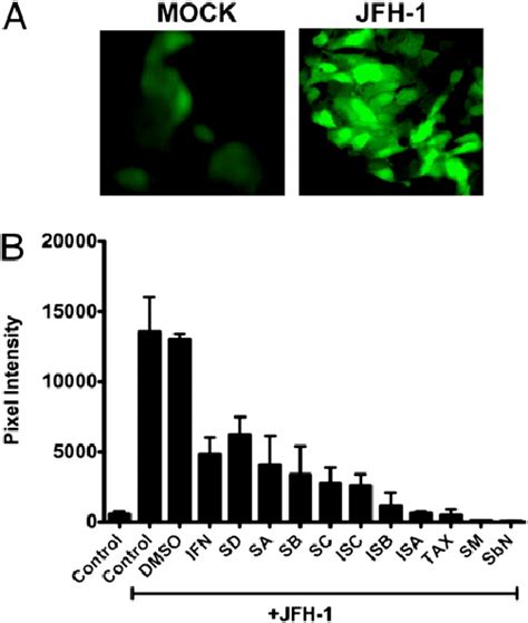 Silymarin And Silymarin Derived Flavonolignans Block Hcv Induced