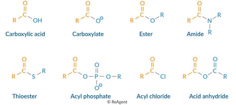 A Level Chemistry Revision Organic Chemistry Carboxylic Acids And