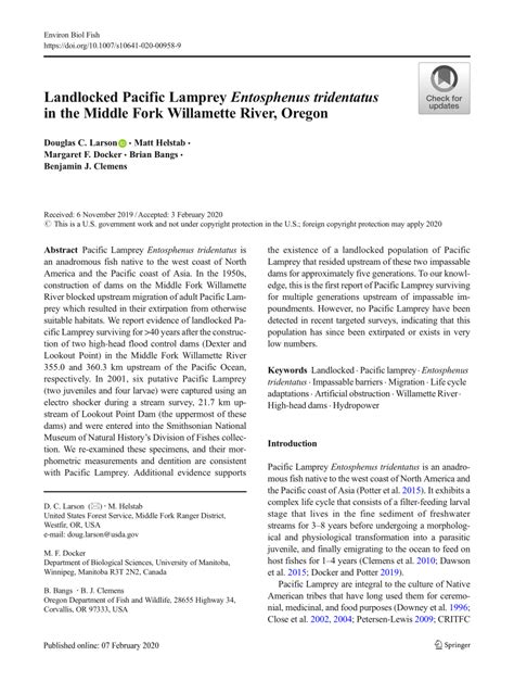 PDF Landlocked Pacific Lamprey Entosphenus Tridentatus In The Middle