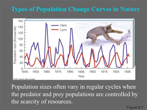 Apes Chapter Population Dynamics Sue O Bannon Library Formative