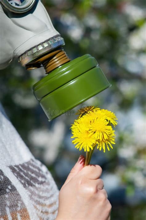 Boy Has Allergies from Flower Pollen Stock Image - Image of chinese ...