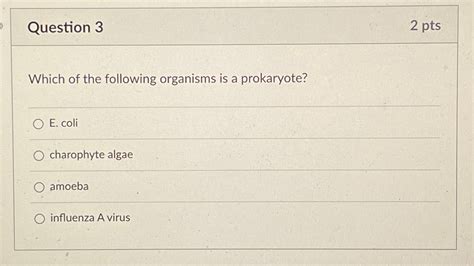 Solved Question Ptswhich Of The Following Organisms Is A Chegg