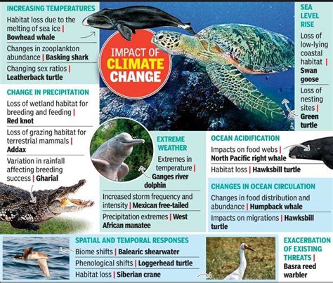 Climate Change May Affect Migratory Patterns Study Ahmedabad News