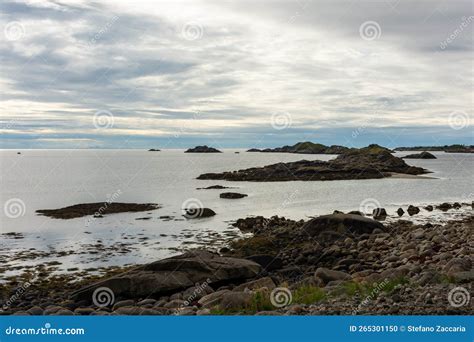 Beautiful Beach in the Lofoten Islands, Norway Stock Photo - Image of nordic, coastline: 265301150