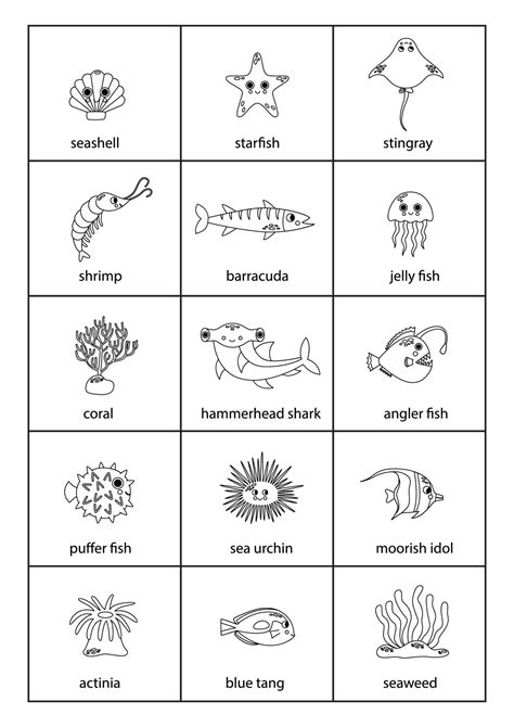 Seashore Animals Name