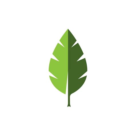 Premium Vector Leaf Vector Icon