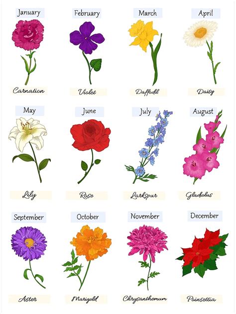 Birth Flowers Photographic Print By Toristuff Redbubble Birth Month