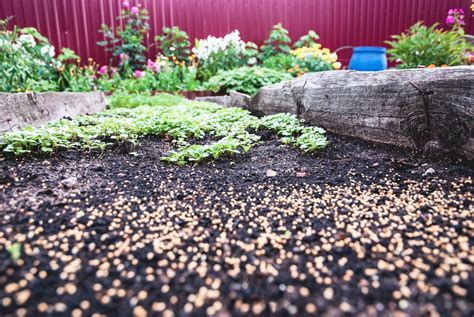 What Is Garden Mulch And Why Is It Important Centenary Landscaping