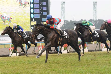 6・5仏ダービーの出走馬と枠順確定 日本ダービー馬キズナ産駒の5番枠ユズナに注目｜極ウマ・プレミアム