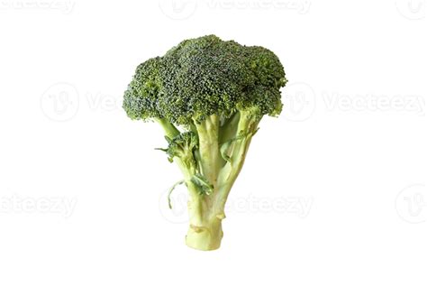 Broccoli Png Transparent Background 29721307 Png