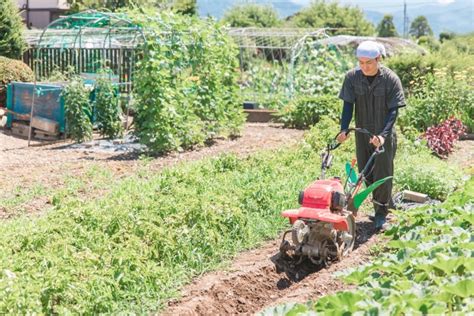 農業は後継者問題や人手不足が深刻！解決策と取り組みを紹介