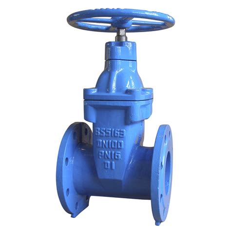 Bs5163 Ductile Iron Resilient Seated Gate Valve China Soft Seated Gate Valve And Bs Gate Valve