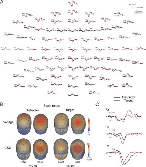 Figure From Localizing P Generators In Visual Target And